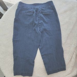 Alia Skimmer Denim Pull On